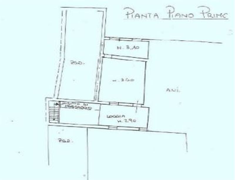Planimetria 1