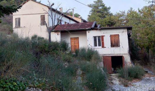 Documento con foto (< 1 Mb)