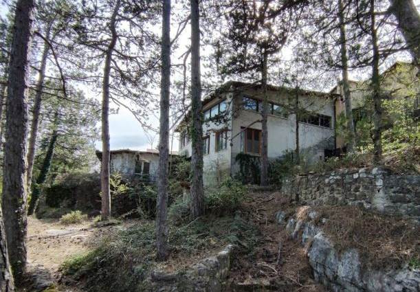 Documento con foto (< 1 Mb)