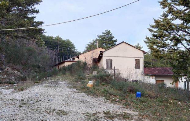 Documento con foto (< 1 Mb)